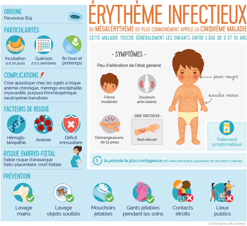 Maladie erytheme infectieux